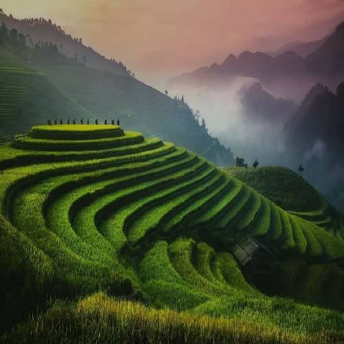 عین اله مریمی از گوشه شال خود یک نگاهی بنداز